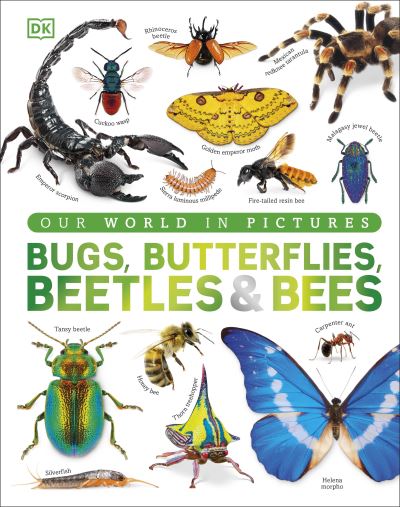 Bugs, butterflies, beetles and bees