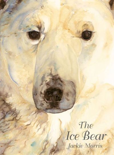 The ice bear