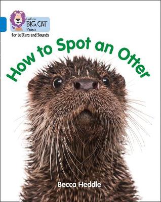 How to spot an otter
