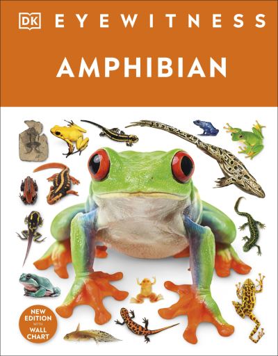 Amphibian