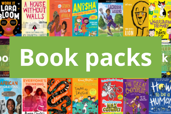 Diverse and inclusive school book bundles