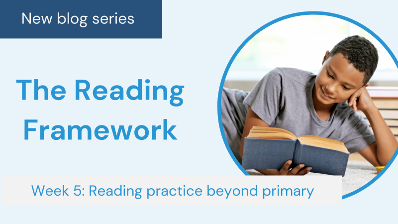 Reading Framework series: Reading practice beyond primary – how to maintain momentum at Key Stage 3 The reading framework - key stage 3 english books