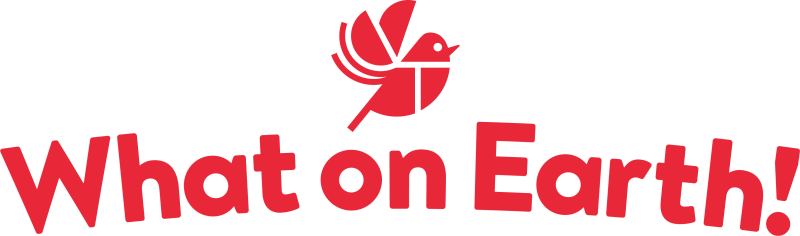 What on Earth! What on Earth at Love Literacy 2025