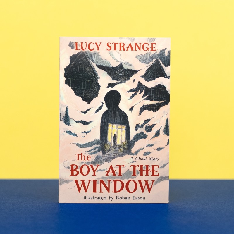Peters Junior Fiction Book of the Year 2026 | The boy at the window by Lucy Strange