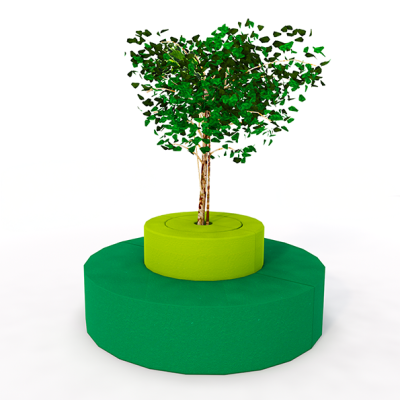 Ficus reading tree with large circular seat